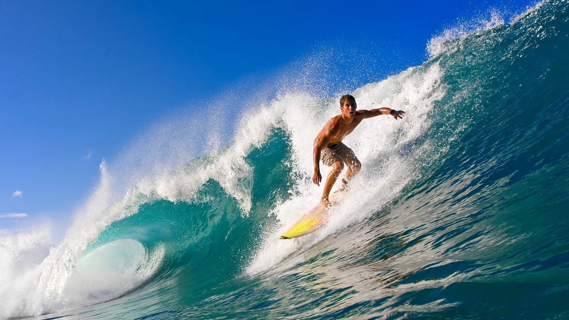 世界泳联盛赞美国男队整体实力,世界泳联盛赞美国男队整体实力的句子