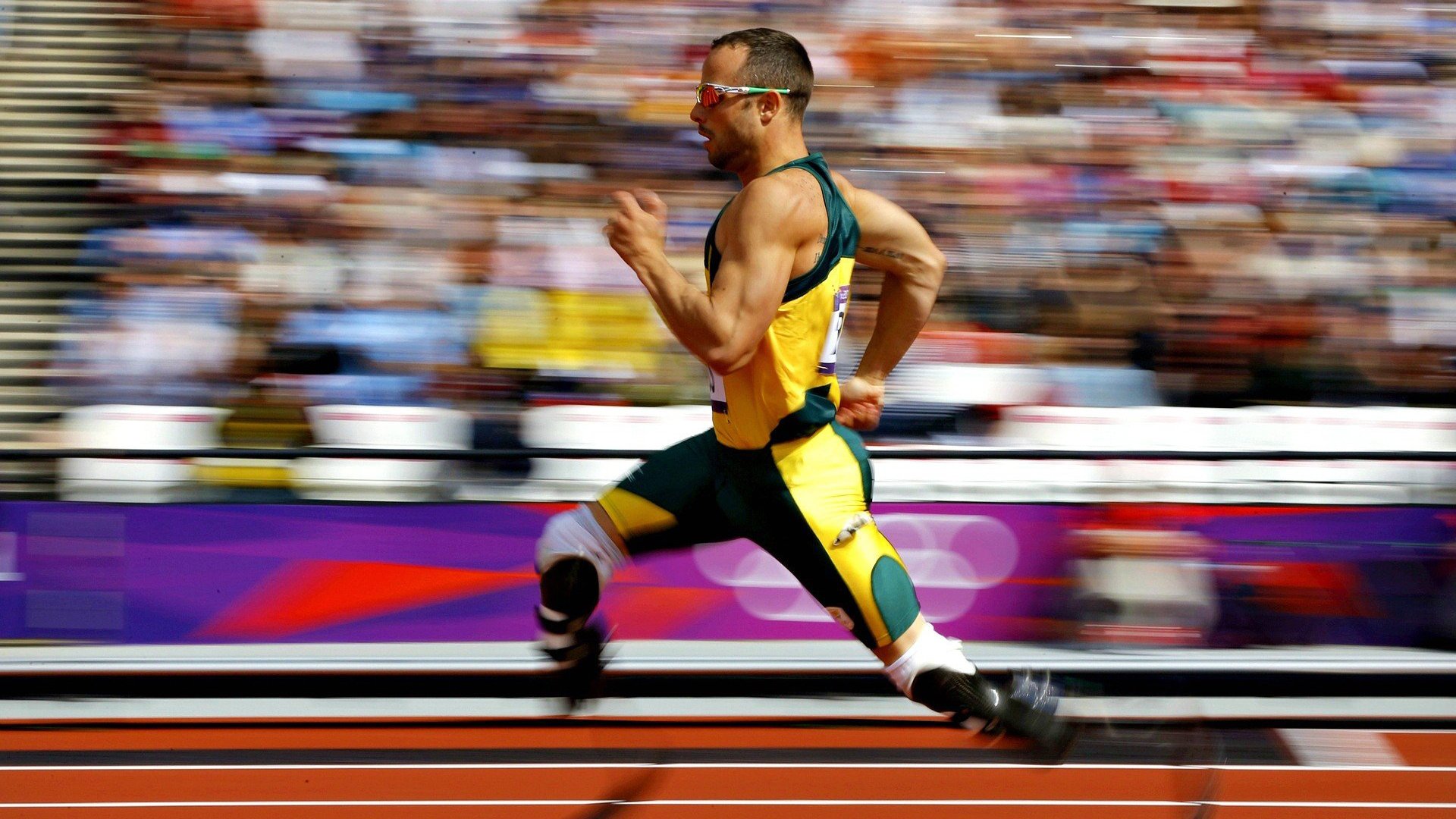 埃及赛制揭秘:如何平衡本土化与国际化